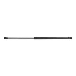 Gas Spring Rear 202