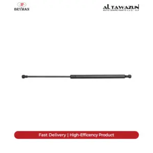 Gas Spring Rear 202