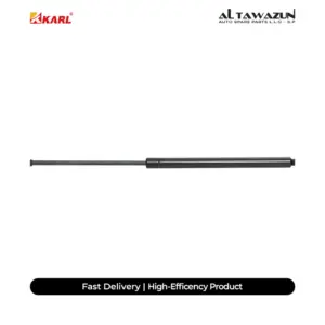 Gas Spring Rear 202
