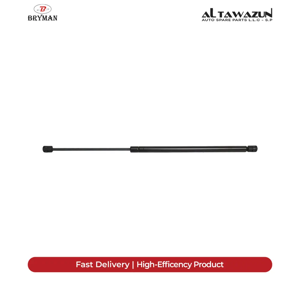 Gas Spring Rear 203