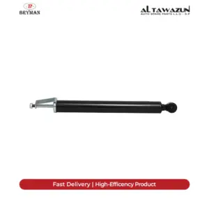Shock Absorber Left-Right Rear 204