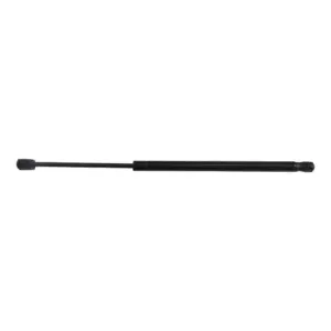 Gas Spring Rear 204