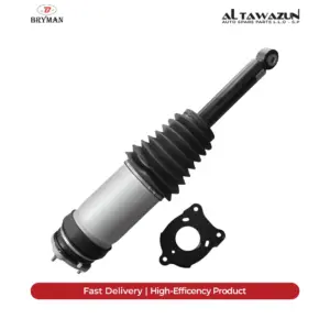 Air Spring Assembly Without ADS Rear Right Tesla Model S-X