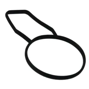 Gasket Water Pump-Thermostat E46-E39-E60-E61-E38-E65-E66-E83-E53-E36-E85