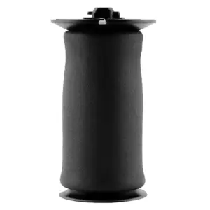 Air Spring Rear E61