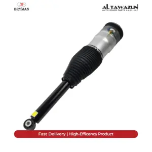 Air Spring Assembly Without ADS Rear Tesla Model S