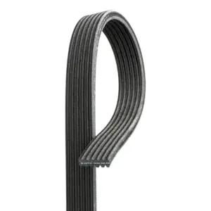 Belt Double Golf4-Bora