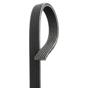 Belt Double Golf4-Bora