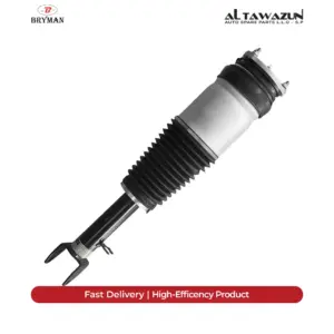 Air Spring Assembly Without ADS Front Tesla Model S