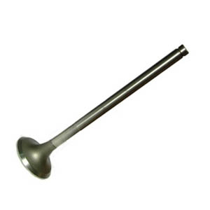 Inatke Valve E36-E39-E46-E60-E85-Z3 Engine M50-M52-M54  2.0