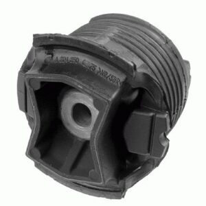 Bush Axle Mounting Rear 204