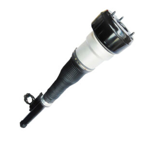 Air Spring Assembly 221 Rear Right