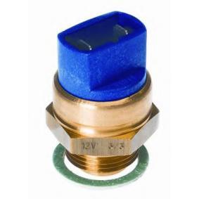 Temperature Switch 2-Pin A4 A6-A8-80-100-Passat