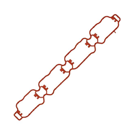 Gasket Intake Manifold A1-A3-A4-A5-A6-Q3-Q5- Beetle-Passat-Jetta-Golf