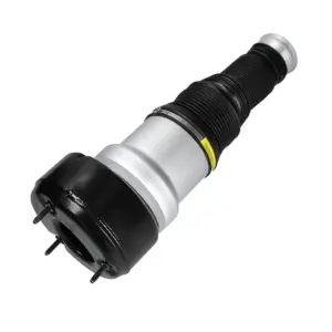 Air Spring 221 Rear Left-Right