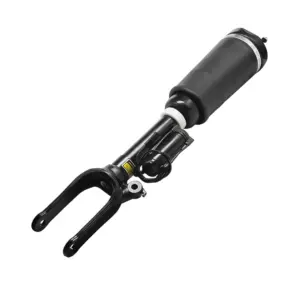 Air Spring Assembly Front 251 R-Class Left-Right