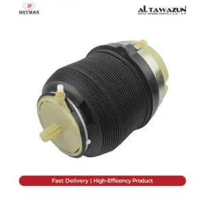 Air Spring Rear A6